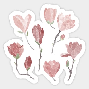 Magnolia on white Sticker